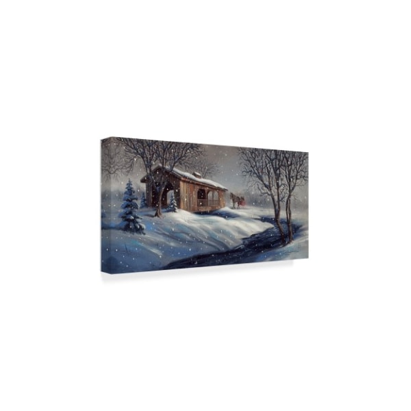 D. Rusty Rust 'Covered Bridge Snow' Canvas Art,12x24